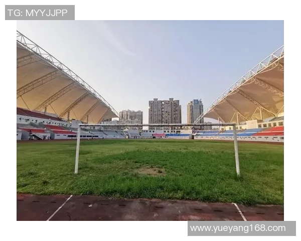 足球养草的秘密探讨如何通过足球场地草坪管理提升比赛质量与观赏性 足球养草的秘密探讨如何通过足球场地草坪管理提升比赛质量与观赏性