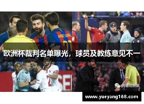 欧洲杯裁判名单曝光，球员及教练意见不一