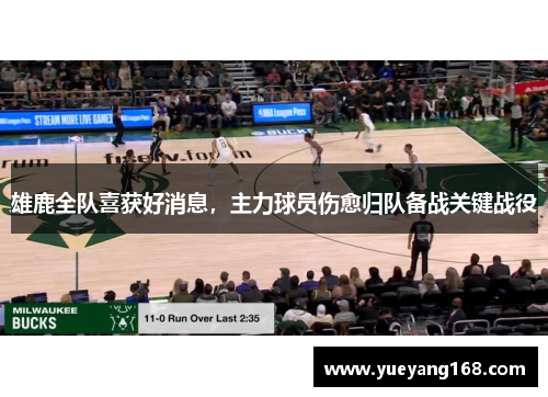 雄鹿全队喜获好消息，主力球员伤愈归队备战关键战役